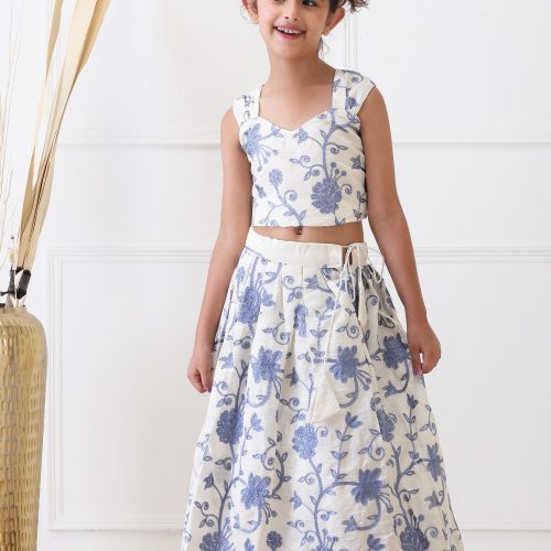 Blue Resham Embroidered Lehenga