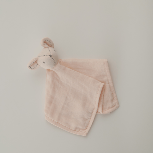 Blush Whiskers Muslin Comforter for Baby