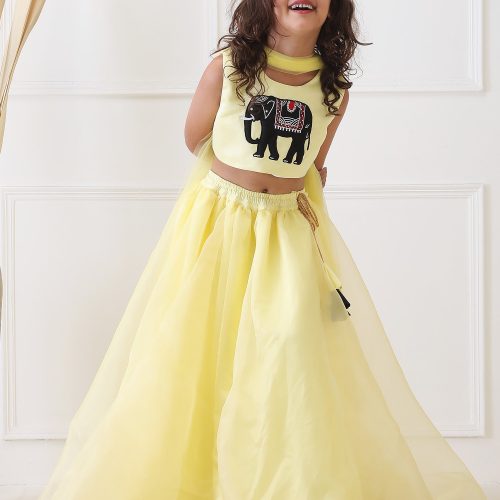 Mini Maharani Embriodered Lehenga Set